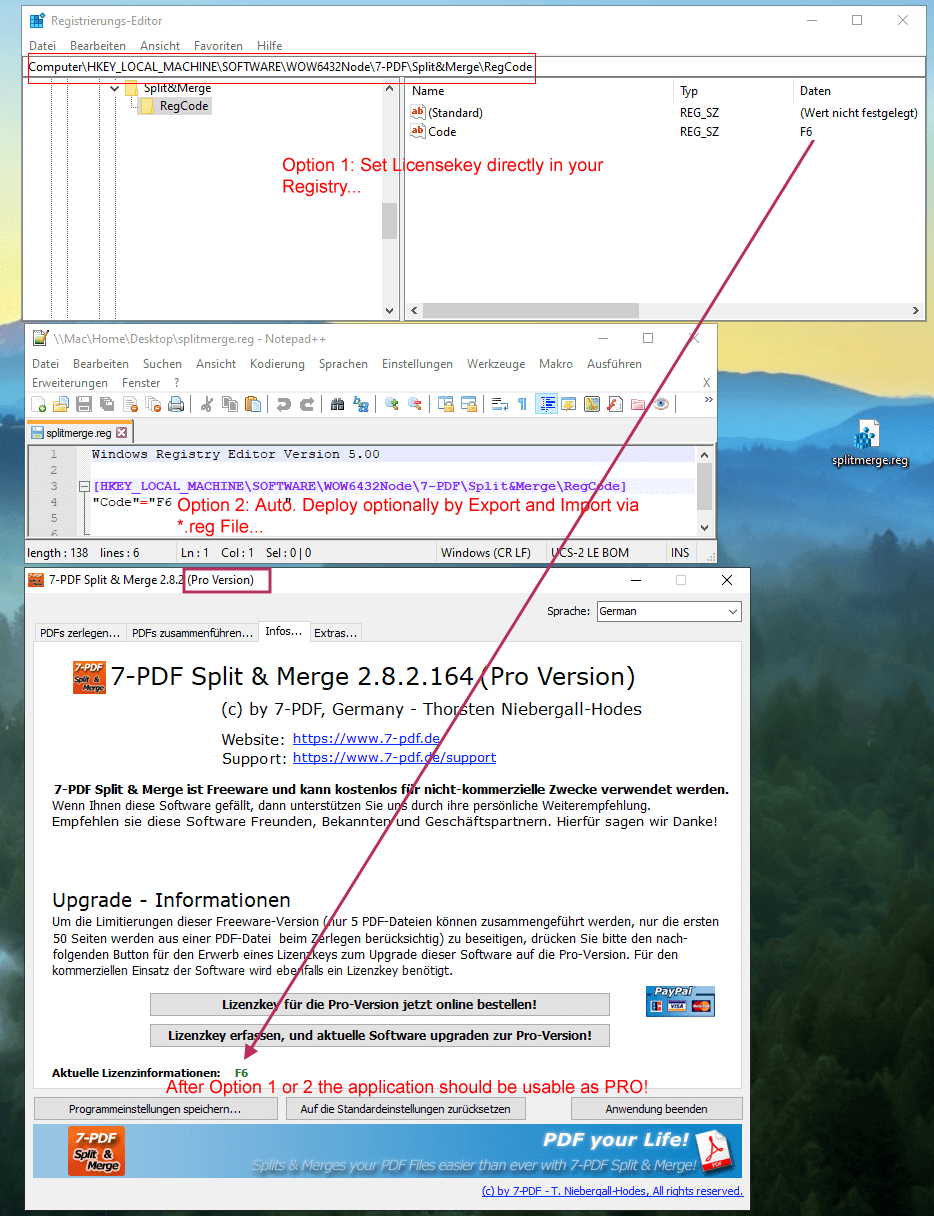 Der nachfolgende Screenshot zeigt den Pfad zum Erfassen des Lizenzkeys innerhalb der Registry